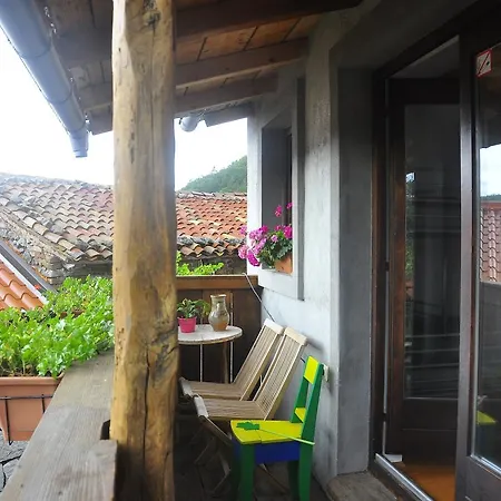 Hostel Xaxid