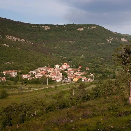 אכסניה Xaxid *